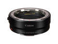 Беззеркальный фотоаппарат Canon EOS R6 Mark II Body + адаптер крепления EF-EOS R
