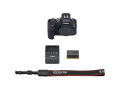 Беззеркальный фотоаппарат Canon EOS R6 Kit 24-105mm f/4