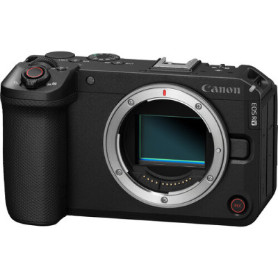 Фотоаппарат Canon EOS R6 V