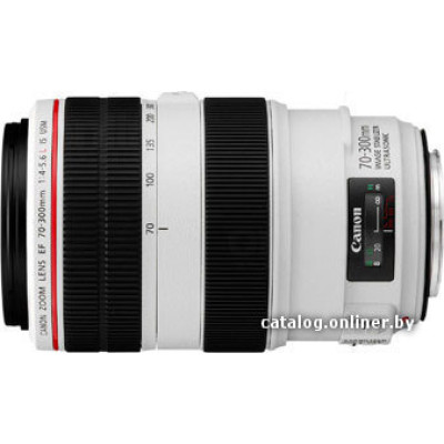 Объектив Canon EF 70-300mm f/4-5.6L IS USM