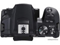 Зеркальный фотоаппарат Canon EOS 250D Body (черный)