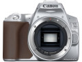 Зеркальный фотоаппарат Canon EOS 250D Kit 18-55 IS STM (серебристый)