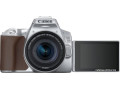 Зеркальный фотоаппарат Canon EOS 250D Kit 18-55 IS STM (серебристый)