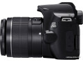 Зеркальный фотоаппарат Canon EOS 250D Kit 18-55 f/3.5-5.6 III (черный)