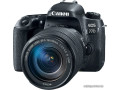 Зеркальный фотоаппарат Canon EOS 77D Kit 18-135mm IS USM